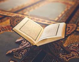 Tajweed Mastery Journey