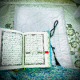 Fedwa Noushad